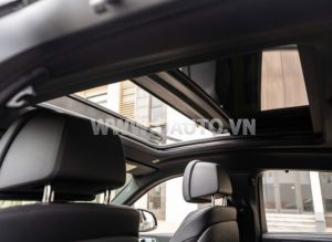 Xe BMW X6 xDrive40i M Sport 2020