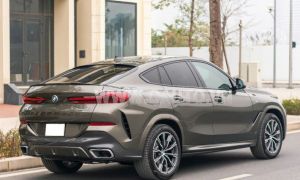 Xe BMW X6 xDrive40i M Sport 2020
