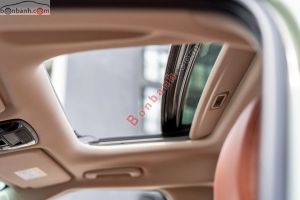 Xe Kia Carnival Signature 2.2D 2024