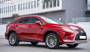 Xe Lexus RX 300 2022