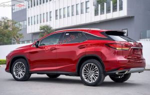 Xe Lexus RX 300 2022