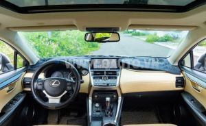 Xe Lexus NX 300 2018