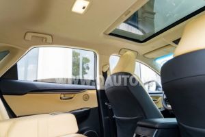 Xe Lexus NX 300 2018