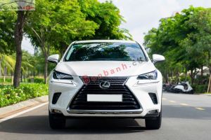 Xe Lexus NX 300 2018