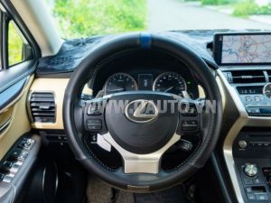 Xe Lexus NX 300 2018