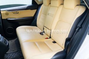 Xe Lexus NX 300 2018