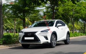 Xe Lexus NX 300 2018