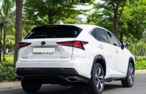 Xe Lexus NX 300 2018