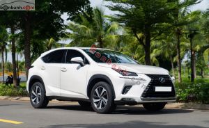 Xe Lexus NX 300 2018