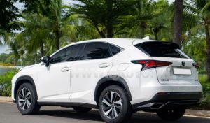 Xe Lexus NX 300 2018