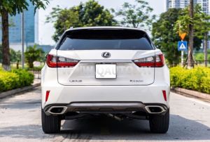 Xe Lexus RX 300 2018