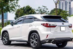 Xe Lexus RX 300 2018