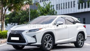 Xe Lexus RX 300 2018
