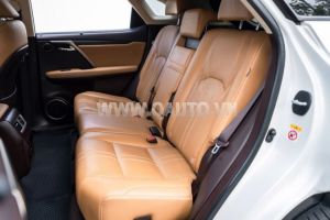 Xe Lexus RX 300 2018