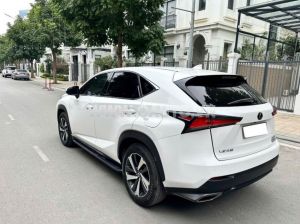 Xe Lexus NX 300 2018
