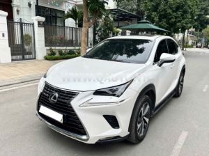 Xe Lexus NX 300 2018