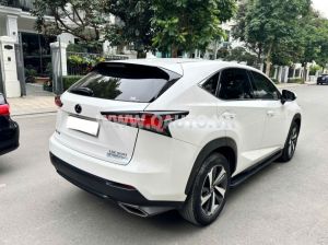 Xe Lexus NX 300 2018