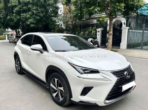 Xe Lexus NX 300 2018