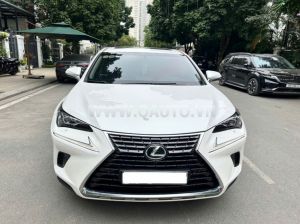 Xe Lexus NX 300 2018