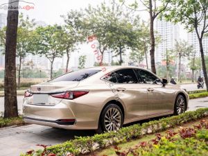 Xe Lexus ES 250 2022