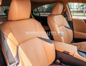 Xe Lexus ES 250 2022