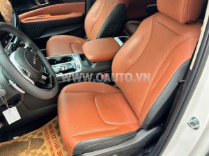 Xe Kia Carnival Premium 2.2D 7S 2025