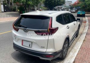 Xe Honda CRV L 2021