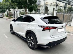 Xe Lexus NX 300 2018