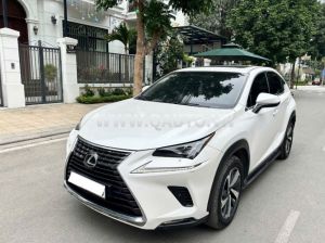 Xe Lexus NX 300 2018