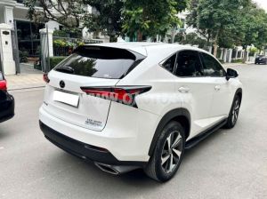 Xe Lexus NX 300 2018