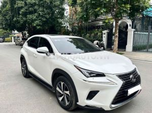 Xe Lexus NX 300 2018