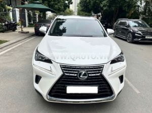 Xe Lexus NX 300 2018